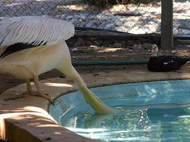 Ripple's XRP patent is set to secure the entire SWIFT financial system, effectively locking it...