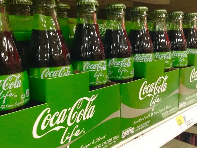 Struggling with Anxiety? Explore Effective CBD Oils for Easing Stress