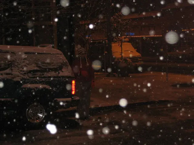 Heavy snowfall of approximately 5 centimeters hits Almaty