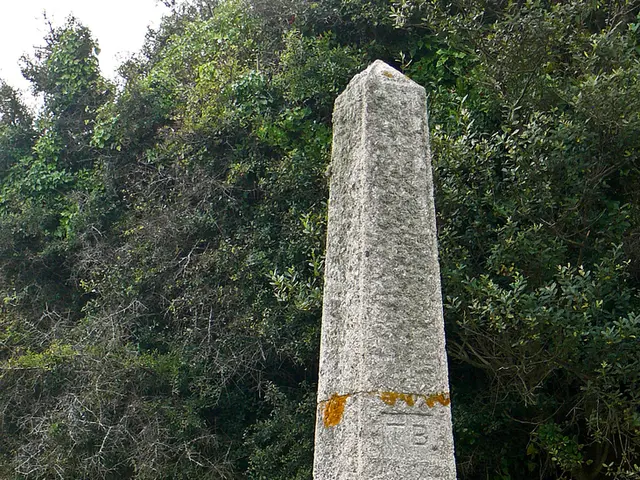 Uncovered Ancient Relic: Unearthing Neolithic Artifacts in Versmolder After 5000 Years