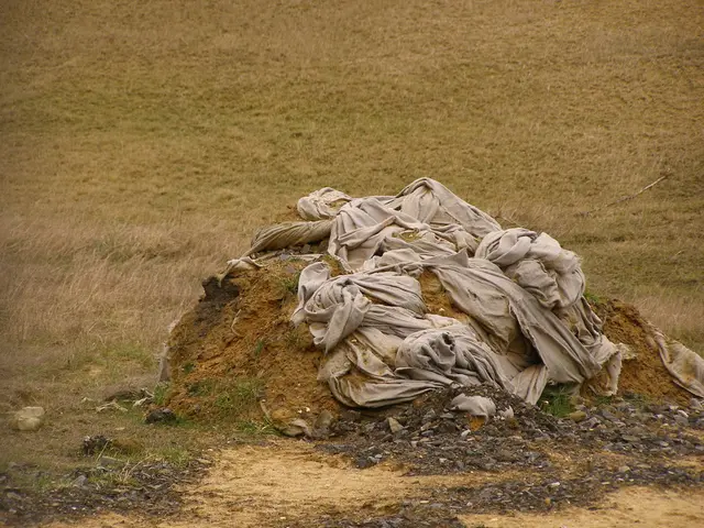 I'm embarking on a 450 km swim to combat waste imperialism