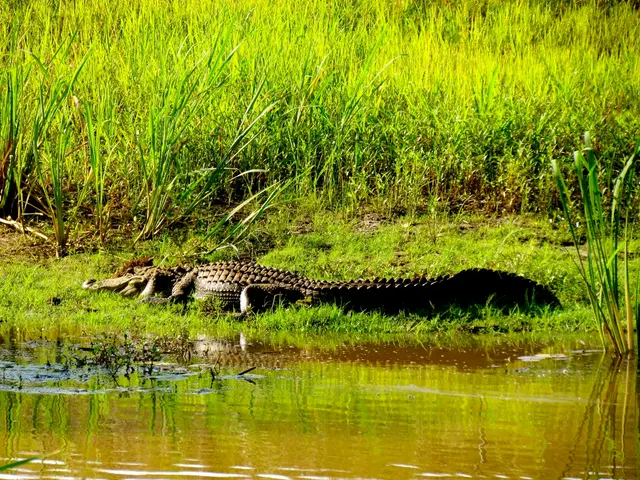 Business Leaders Vow to Bolster International Cooperation and Multilateral Agreements