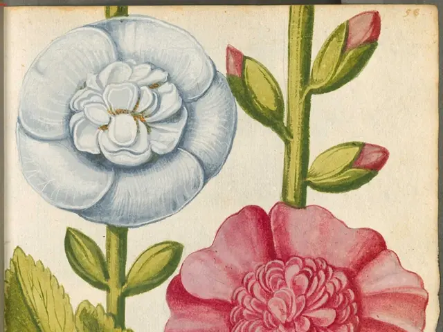 Oil, Illayev's Artistic Exhibition at Park West SoHo: Radiant Hues, Illumination, and Eternal Aroma