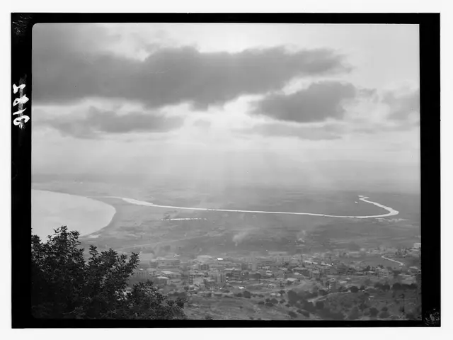 Over the past decade and a half, a popular study has focused on the primary hues in celluloid...