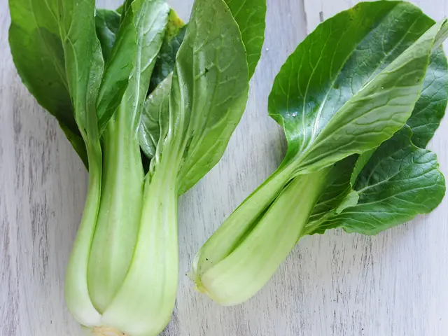 Technique for Gathering Vegetables: Suggestions for a Flavorful and Fresh Collection