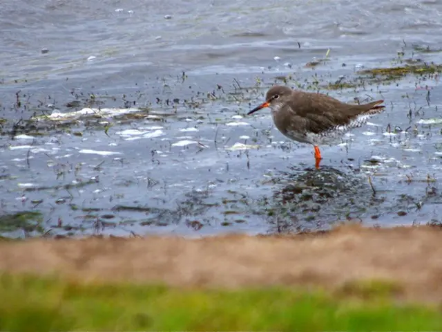 Turkey mandates complimentary water service on flights
