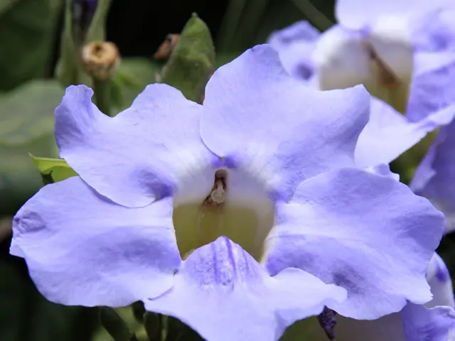 Daily triumph in Dubai: A 90-minute, 5:30 am regimen designed for victorious mornings