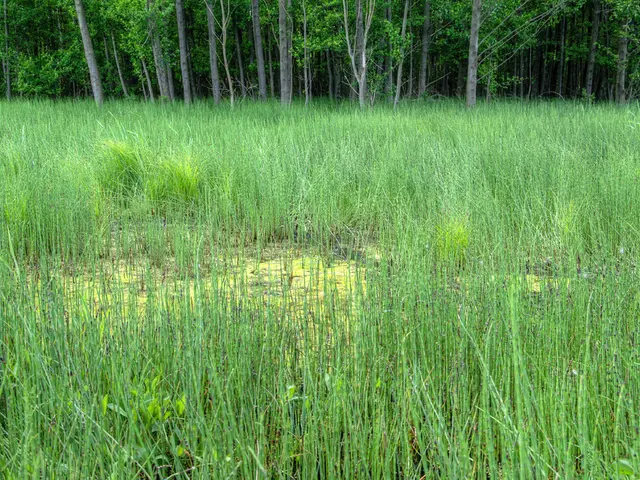 Farming families rejuvenating the soil in the midwest regions of the United States