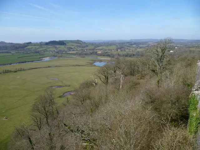Research reveals: engineered marshlands offer optimal defense against agricultural drainage...