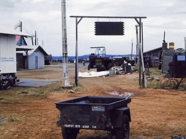 Lidl's latest deal: A two-seater bike trailer stands to save you 300 Euros