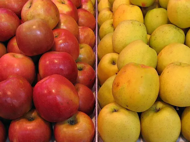 Optimal Timing for Apple Harvesting and Storage