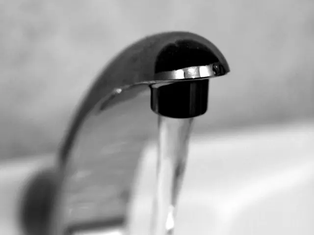 Houseplant leaves turning brown could indicate an issue with your tap water. Consider using...