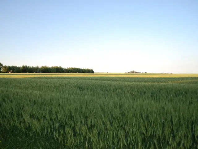 Sinn Féin to convene as the contest for the Arás intensifies