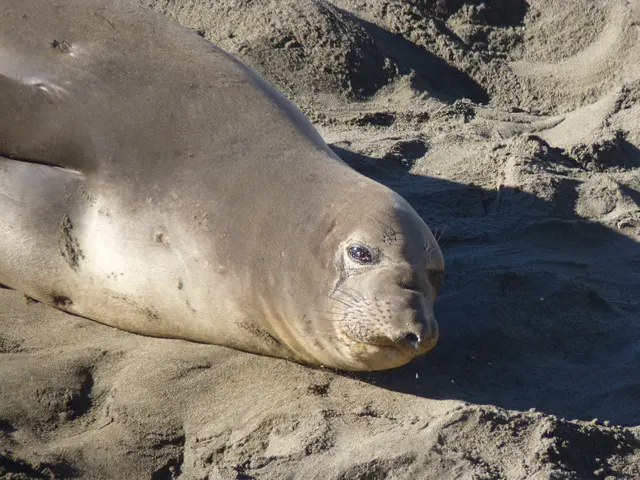 Guide to Perfect Driveway Sealing: Seasonal Strategies for Excellence