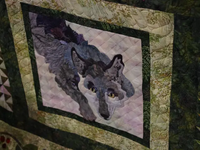 Blue Denim Dog: A Young Whippet