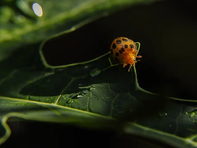 Details to be disclosed: