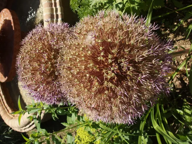 Transformation of China's Water Pollution Remediation to Ecosystem Restoration