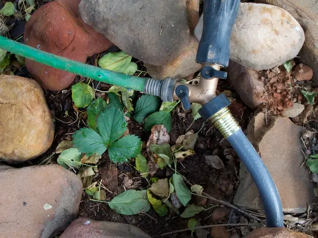 Gathering on the Global Path towards Eco-Friendly Mineral Distribution Chains