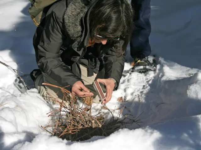 Avoiding Ice on Burns: Understanding the Rationale Behind This Advice