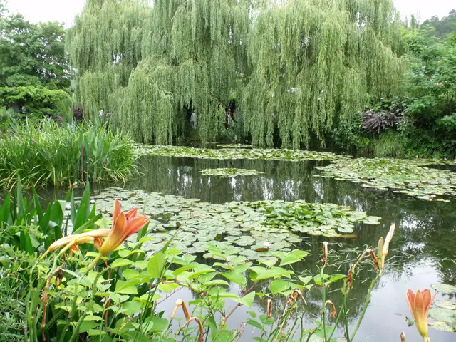 Autumnal Leaf Hues: An Explanation