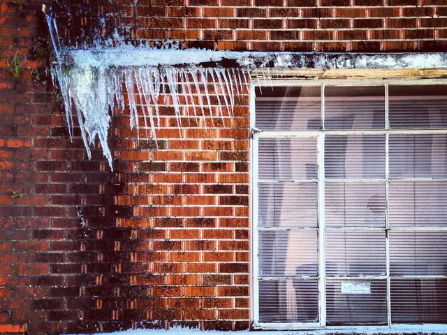 Unlawful detentions persist in Lower Manhattan as ICE faces court amid allegations that...