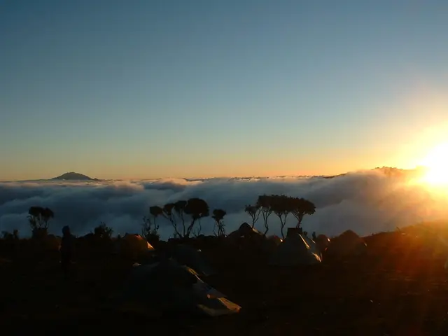 Confirmation of Facts: Did the number of camps for people with disabilities (Divyangs) rise...