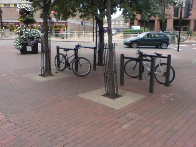 Prioritizing Timber Management Similar to Automobile Industry Instead of Traditional Cabin...