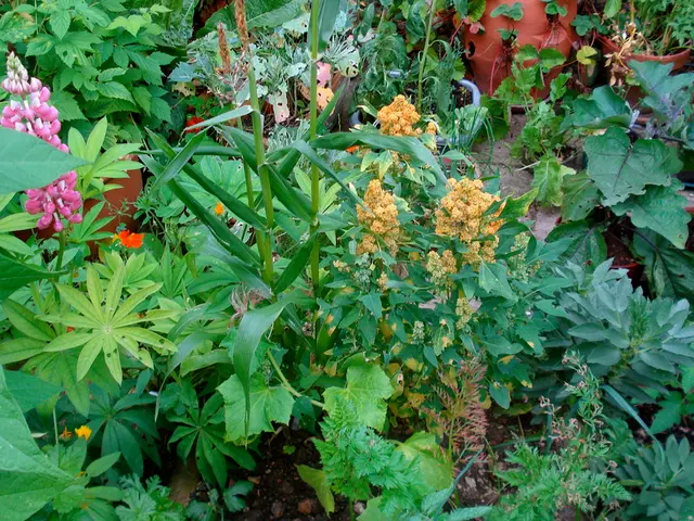 Growing a Successful Garden: Essential Tips and Knowledge for Your Garden to Thrive and Bloom