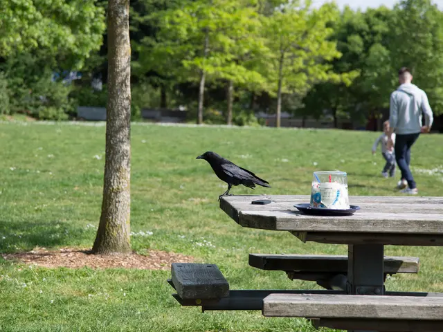 Outdoor Evaluation Techniques for Homeschool Portfolios Emphasizing Organic Learning Experiences