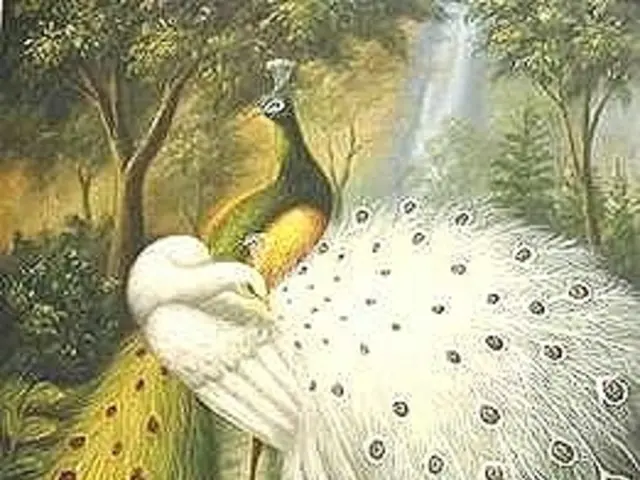 Seven Photography Competitions Centered on Natural Wonders to Participate In