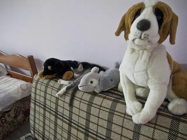 Behind Closed Doors: China's Vibrant Reception for Putin during His State Visit at Hotel