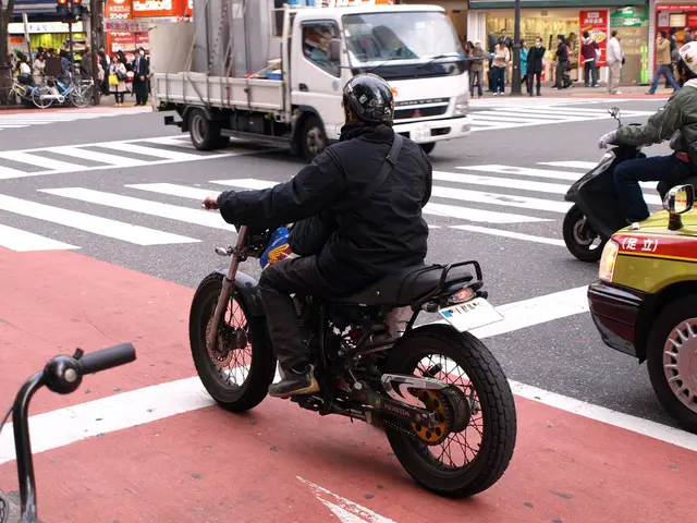 Breachers under the scrutiny in POL-EU affairs