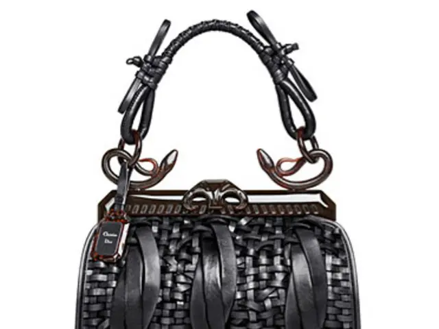 Police apprehended the individual allegedly responsible for the stolen handbag in Poland