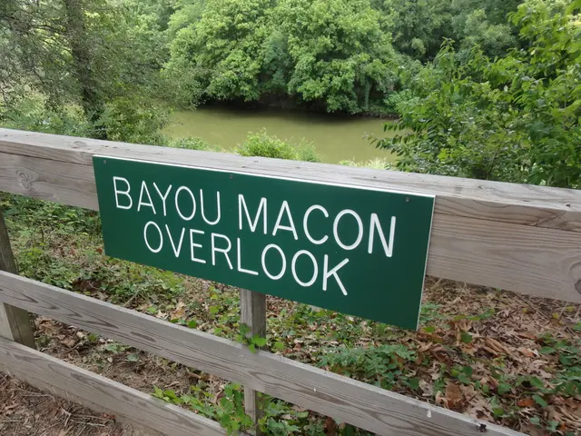 Decreased water levels in the watershed region of the lower Thames river