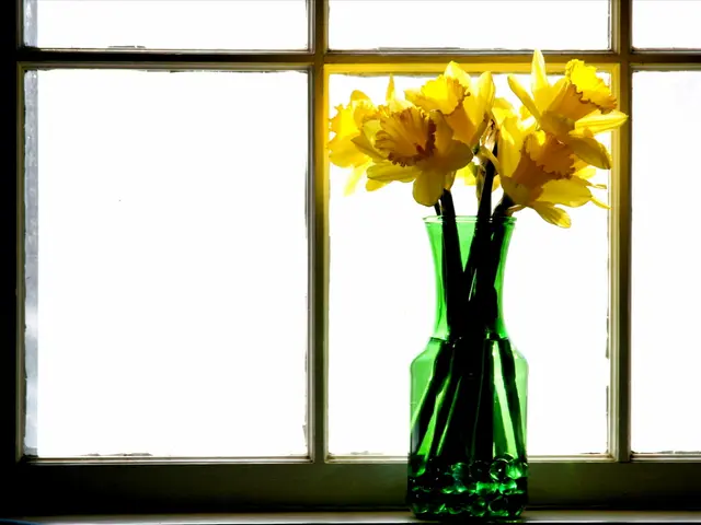 Winner of the People's Choice Award Revealed at Chelsea Flower Show 2024