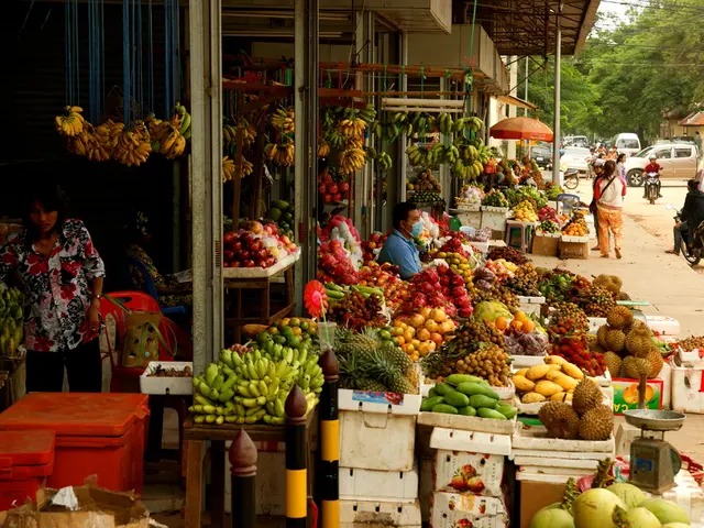 Training Sessions by Morizo | Summer Workshop