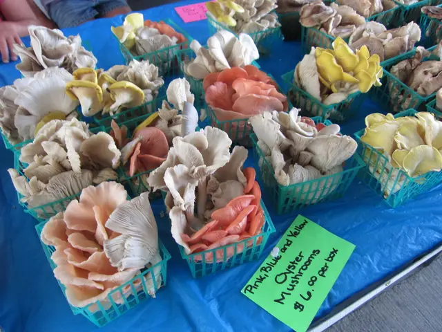 Annual inflation in the Dominican Republic climbed to a rate of 3.71% compared to the same month...