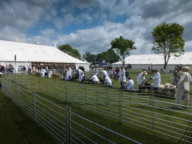 Aerial Deer Rescue Operation