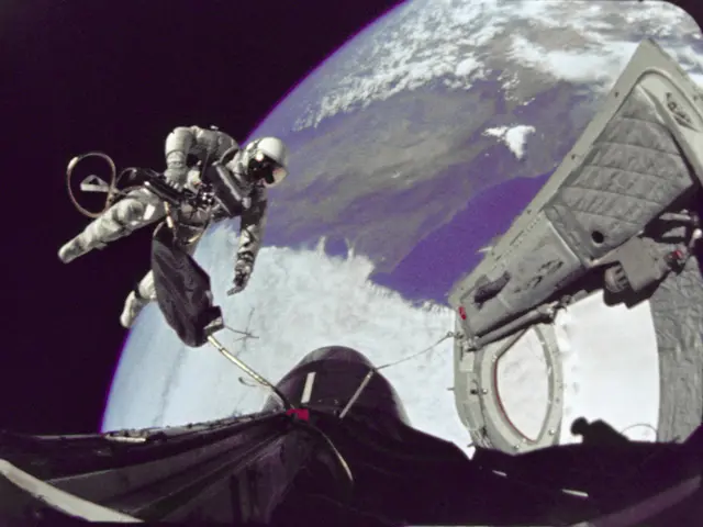 Space Exploration Agency astronaut Anne McClain under fire for potential first interstellar offense