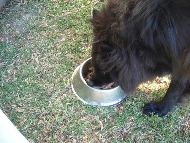 Starting in 2027, farmers will only receive a single antibiotic alert