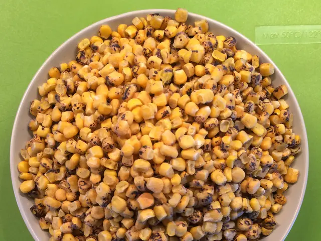 Strongest Wheat Varieties for Harvest 2025: A Guide for Farmers to Embrace