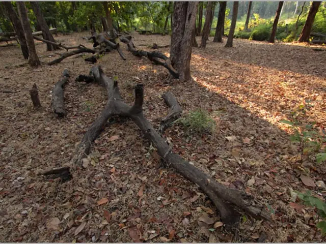 EU Regulation and Guidelines for Business Compliance