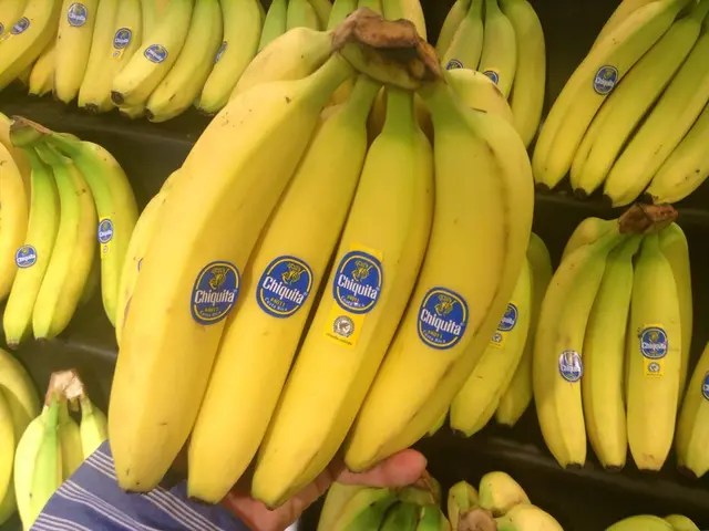 In this picture I can see number of bananas and I see a person's in hand in front who is holding...