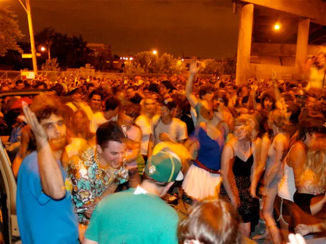 The image is taken in a concert. In the foreground of the picture there are people dancing. In the...