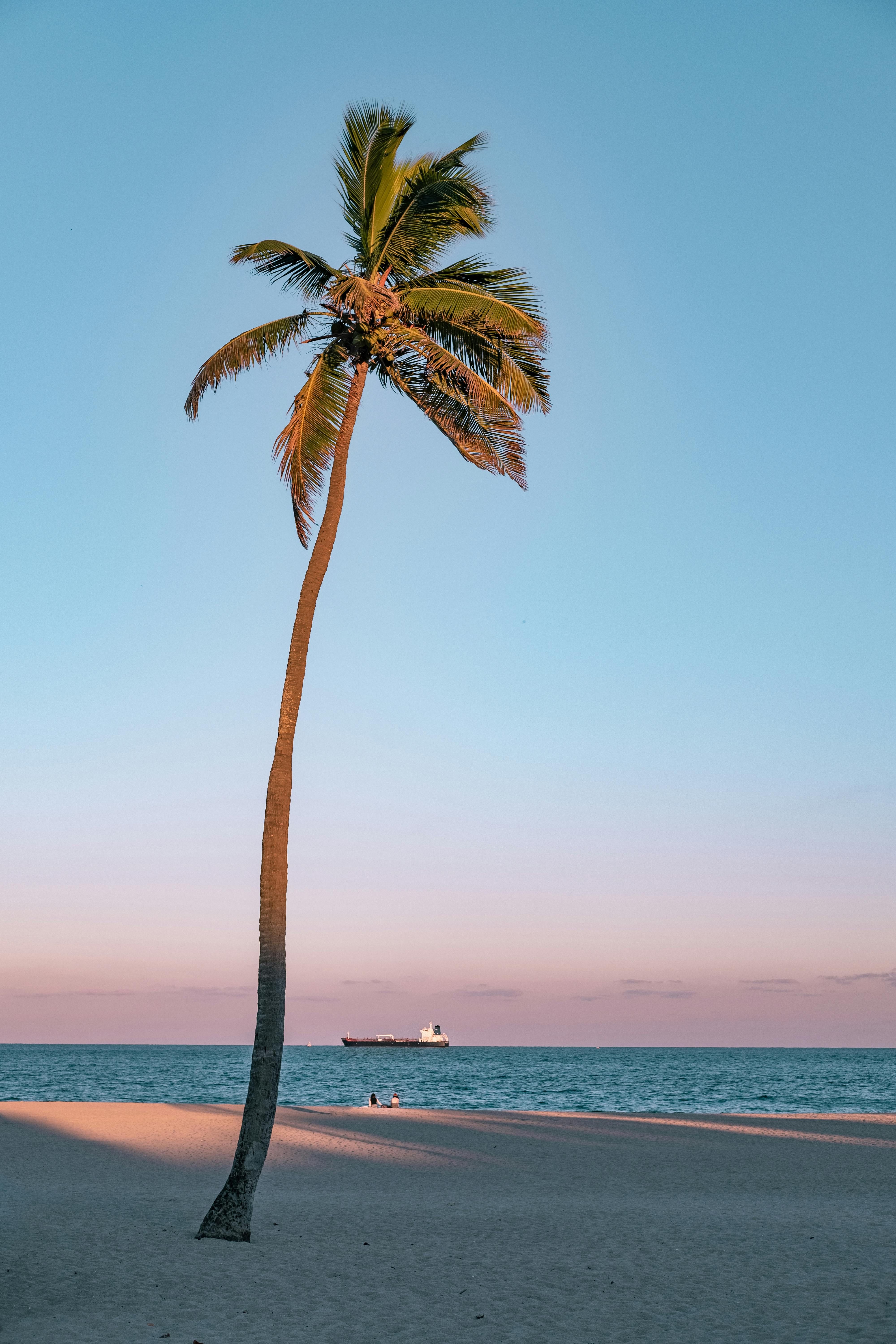 Suspect Arrested for Alleged Cyberstalking of Public Figure; Police Release Details on Relentless Harassment and Online Threats Mastering Manipulation at the Table: Poker Insights from Kerryjane Craigie