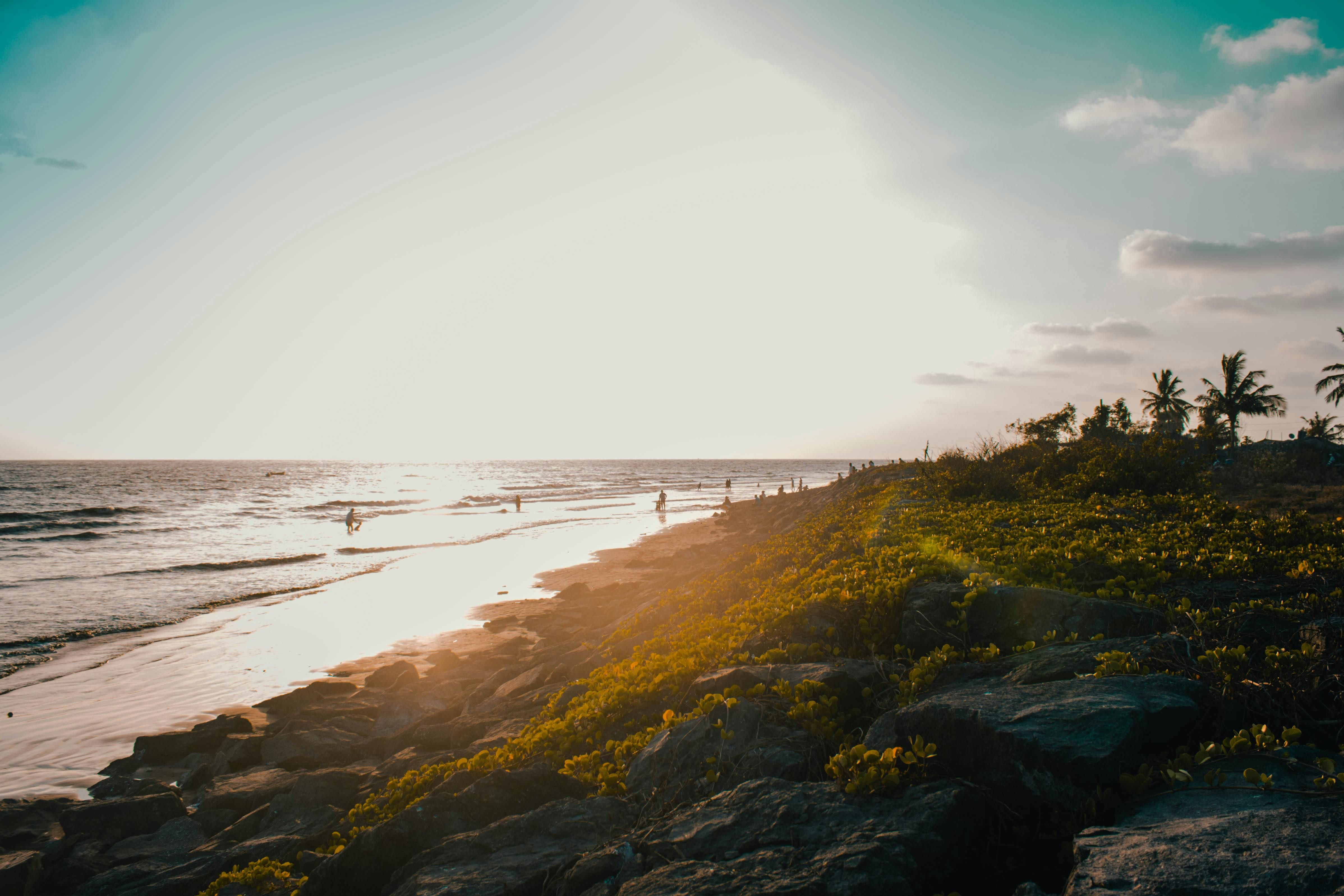 Woman found dead, man arrested for her murder in city park Strategies from the Master: Poker Insights from Kerryjane Craigie
